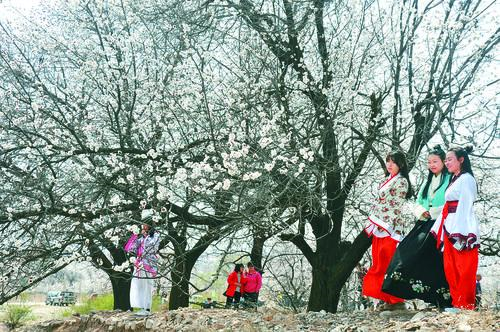 CCTV5 U23亚洲杯直播画面